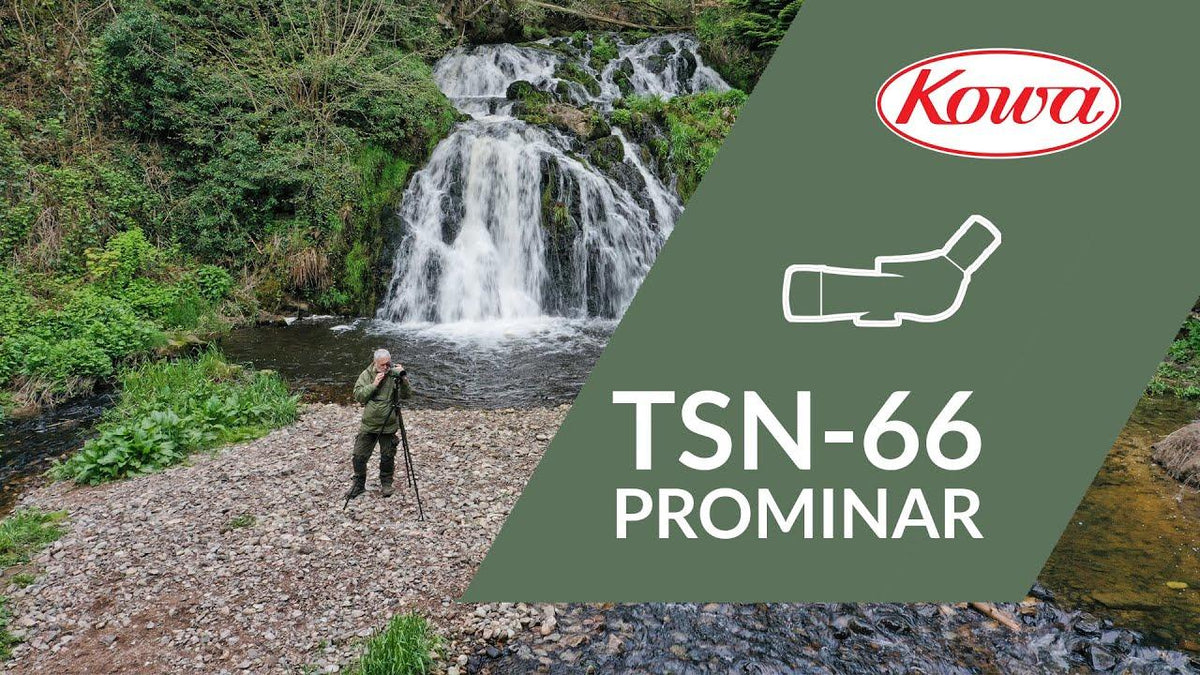 Kowa TSN-66A Prominar 25-60x Wide Zoom
