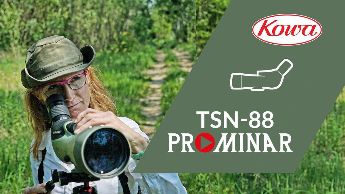 Kowa TSN-88S Prominar