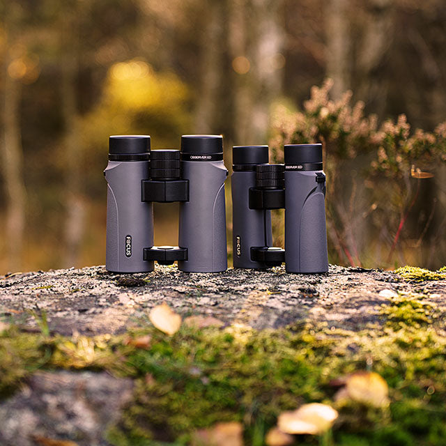 Focus Observer 8x34 ED