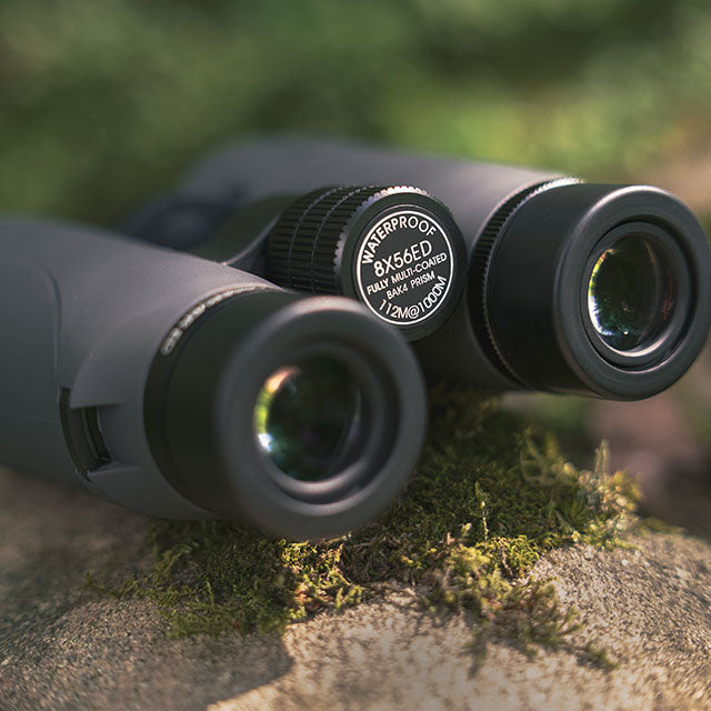 Focus Observer 10x42 ED