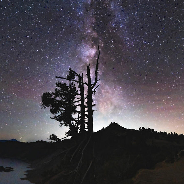 Celestron Advanced VX 11" SCT