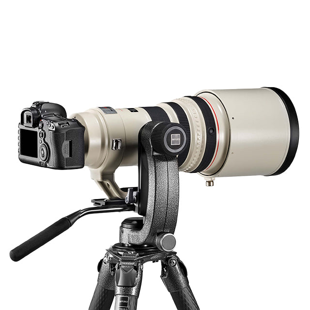 Gitzo GHFG1 Gimbal Stativhoved