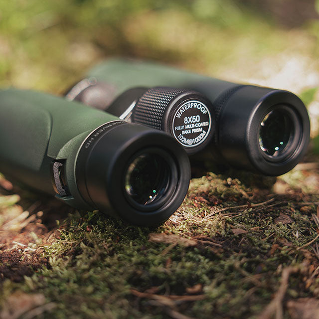 Focus Observer 8x50 HD