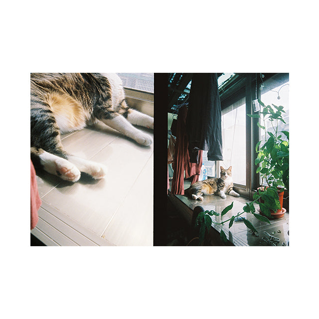 Kodak Ektar H35 Analog Kamera Sage