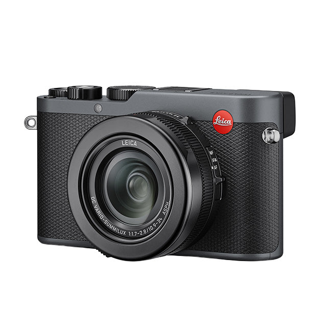 Leica D-Lux 8 Metal Gray