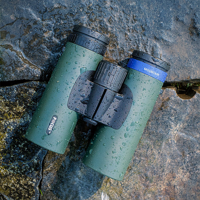 Focus Mountain 10x42