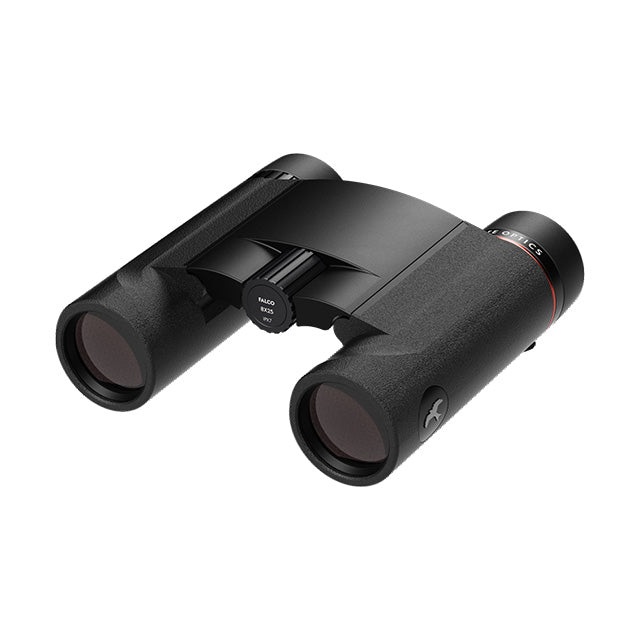 Kite Falco 8x25