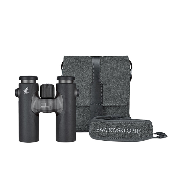 SWAROVSKI CL Companion 8x30 B Antracit + Northern Lights
