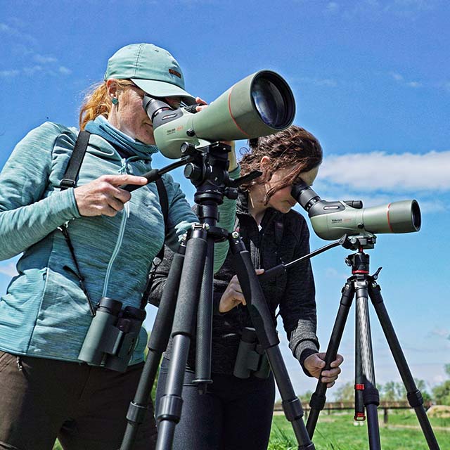 Kowa TSN-66A Prominar 25-60x Wide Zoom
