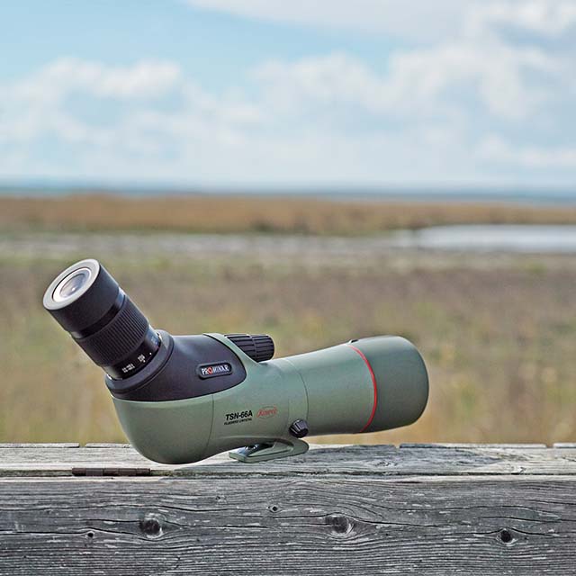 Kowa TSN-66A Prominar 25-60x Wide Zoom
