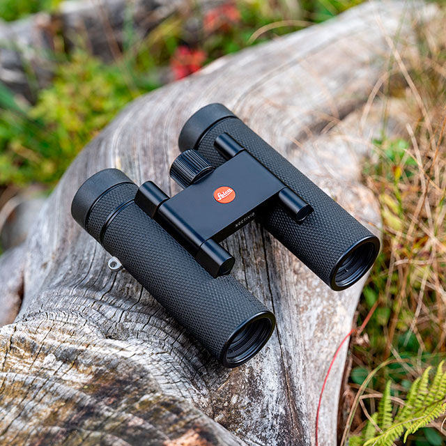 Leica Noctivid 8x25 Sort Læder