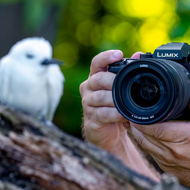 Panasonic Lumix S1RII Hus + 24-105mm F/4