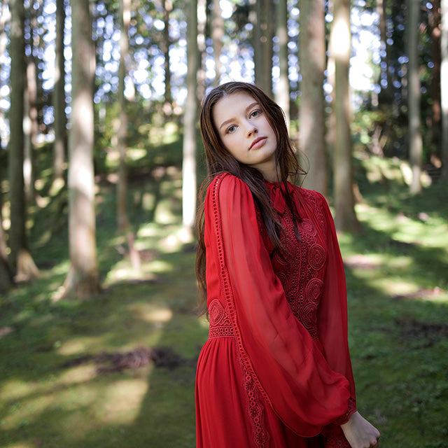 Panasonic Lumix S 35mm F/1.8
