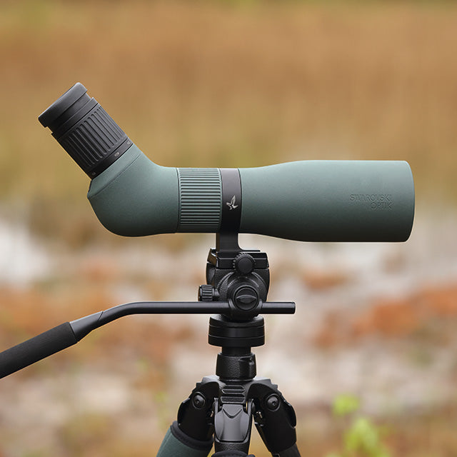 SWAROVSKI AT Endura 21-65x75 Grøn