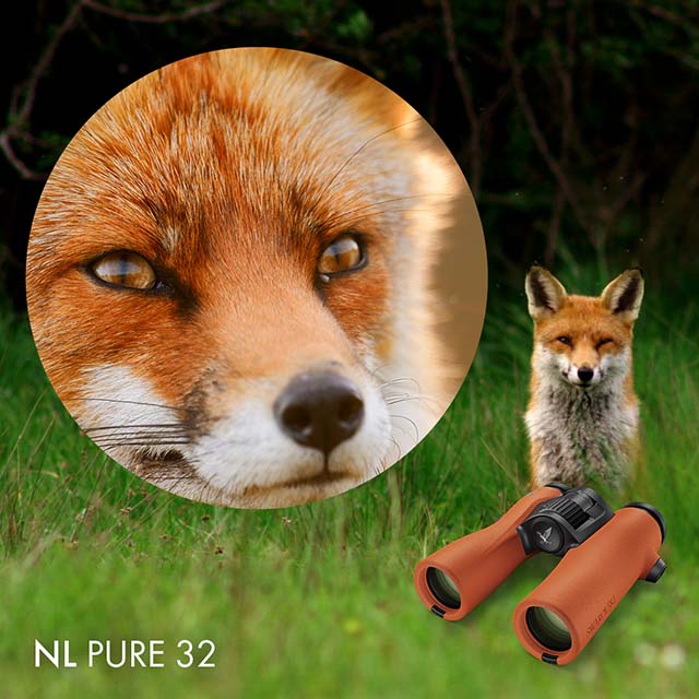 SWAROVSKI NL Pure 8x32 Burnt Orange