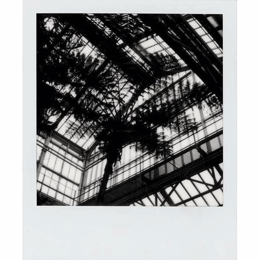Polaroid SX-70 B&W Film