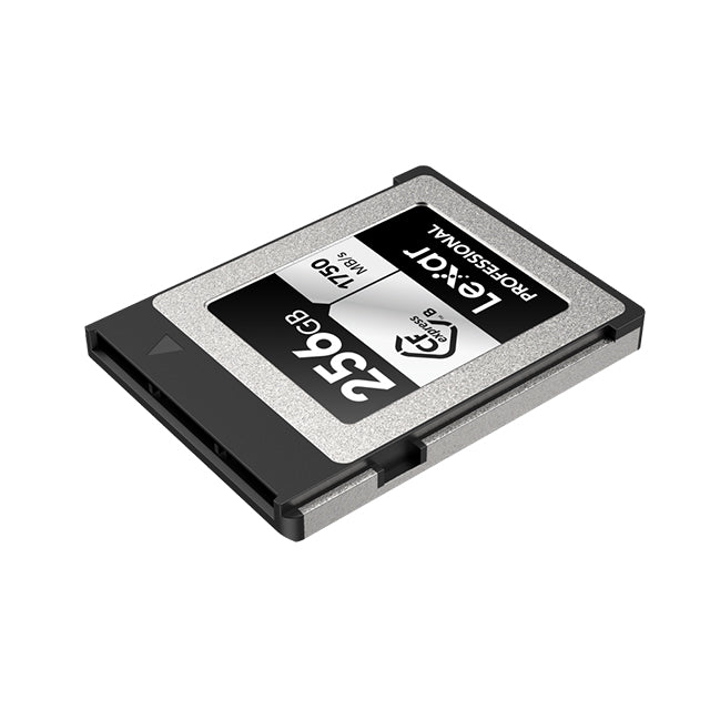 Lexar CFexpress Pro Silver R1750/W1300 256GB