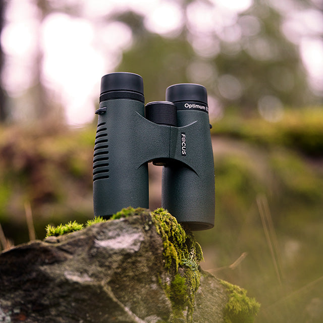 Focus Optimum 8x42 ED Kikkert