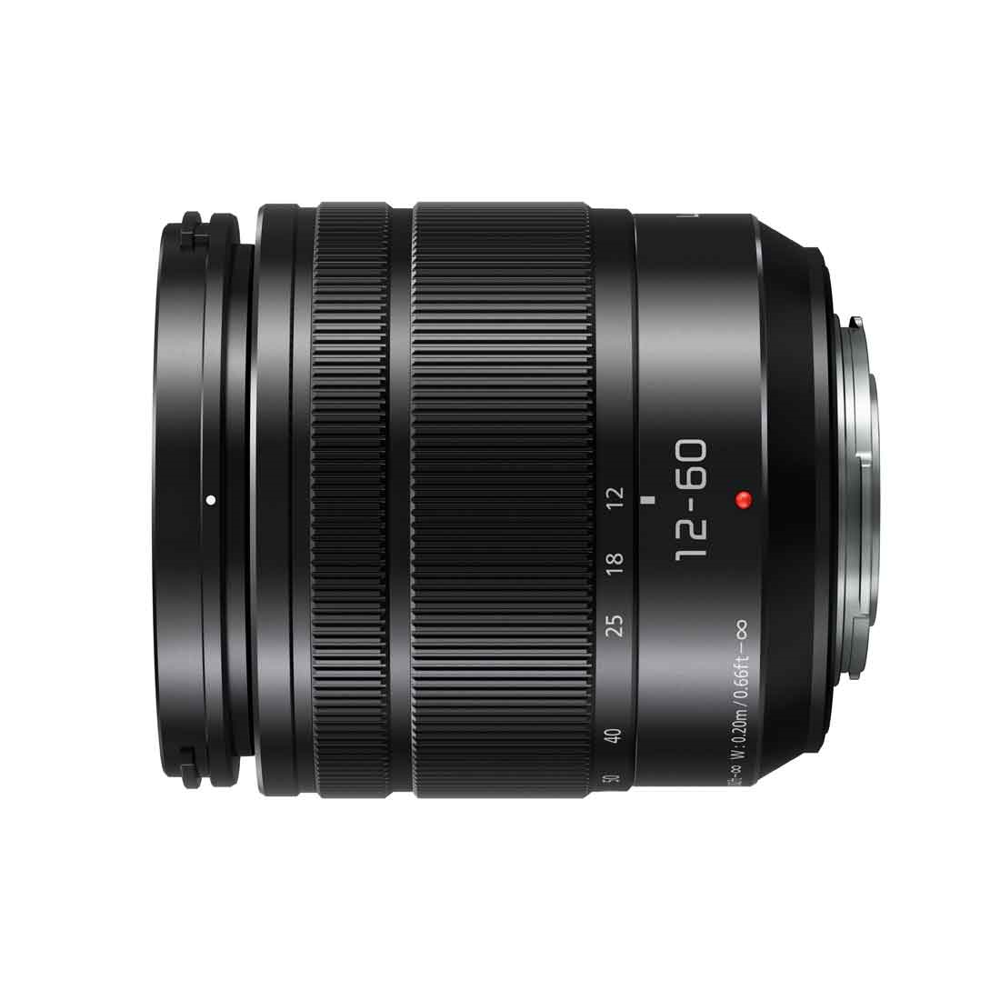 Panasonic G 12-60mm F/3,5-5,6 ASHP