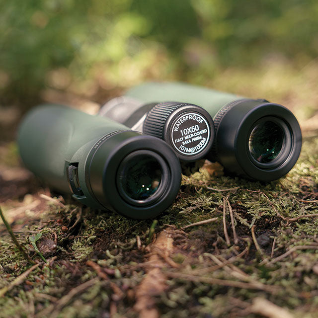 Focus Observer 10x50 HD