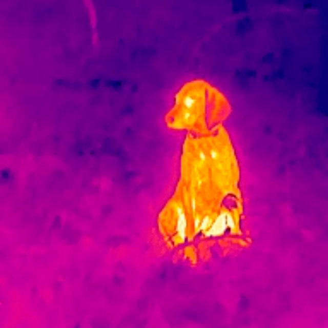 HIKMICRO Explorer E20 Plus Thermal camera for Smartphones Android 