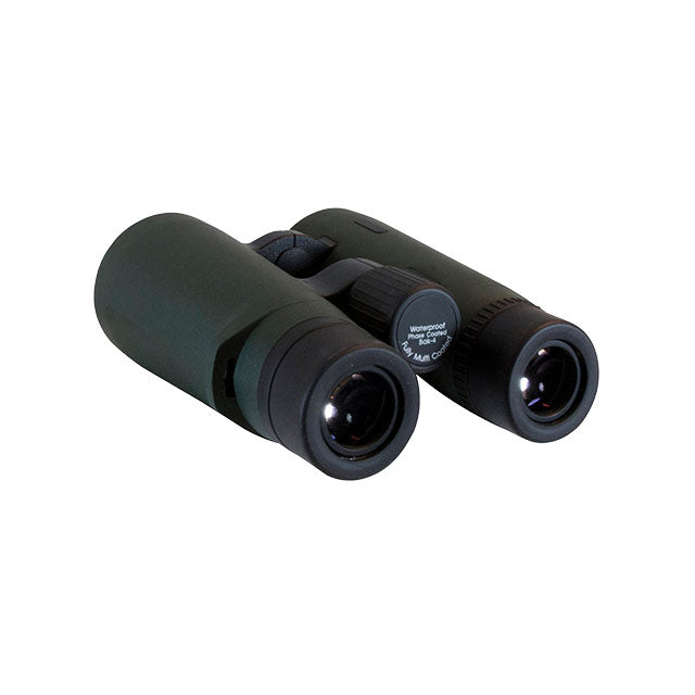 Focus Observer 8x34 HD
