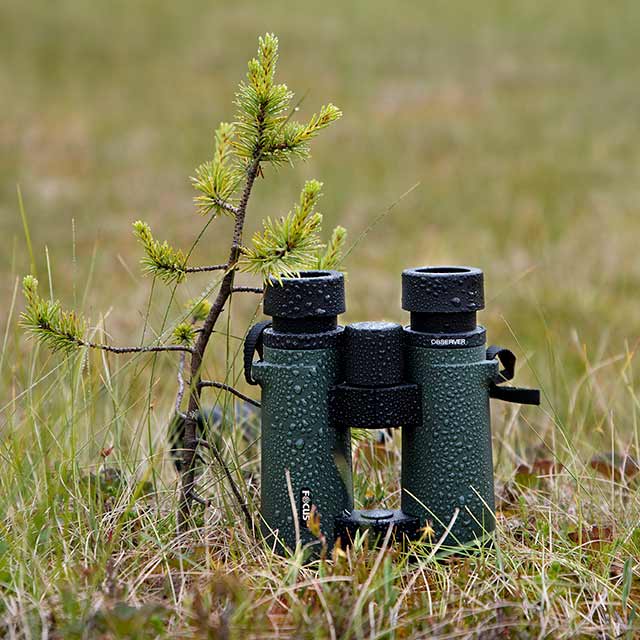 Focus Observer 10x34 HD