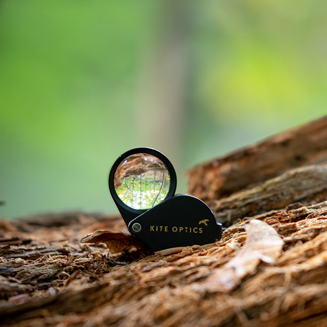 Kite Triplet Lup 10x