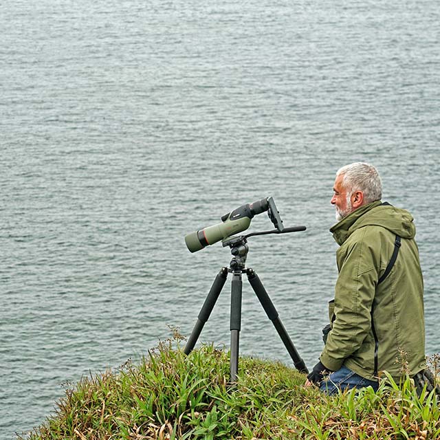 Kowa TSN-66A Prominar 25-60x Wide Zoom
