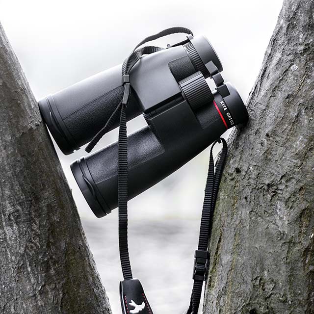 Kite Cervus HD 8x56 