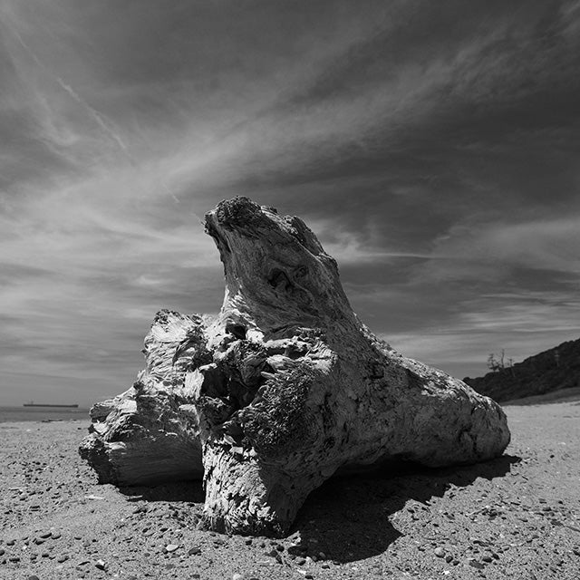 Panasonic Lumix S9 Smokey White + 18-40mm F/4.5-6.3