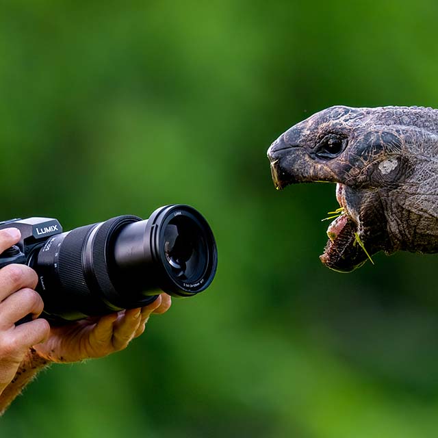 Panasonic Lumix S1RII Hus + 24-105mm F/4 