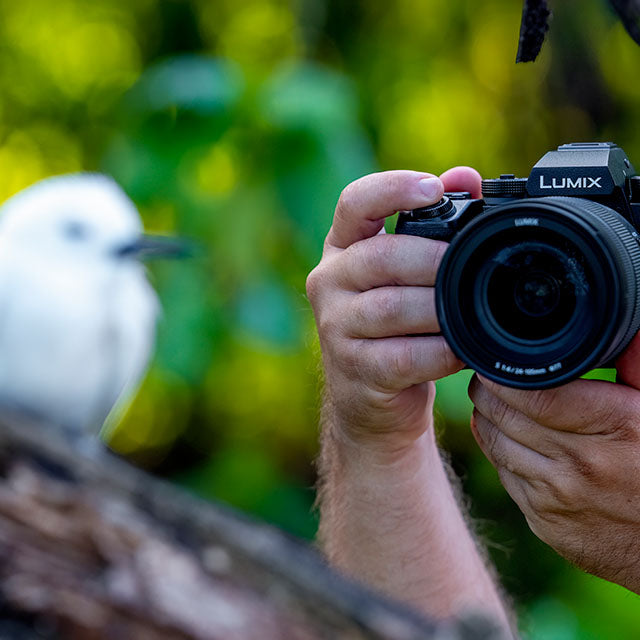 Panasonic Lumix S1RII Hus + 24-105mm F/4 