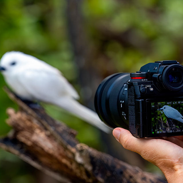 Panasonic Lumix S1RII Hus 