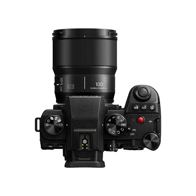 Panasonic Lumix S 100mm F/2.8 Macro