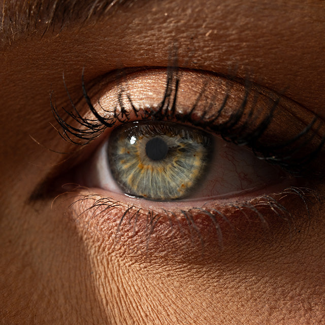 Panasonic Lumix S 100mm F/2.8 Macro