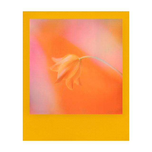 Polaroid I-Type Farvefilm Farvet Ramme