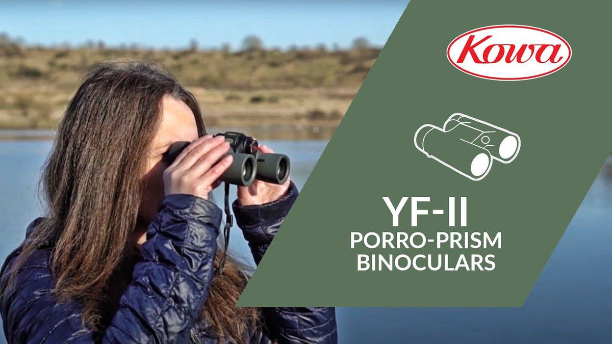 Kowa YF II 6x30 