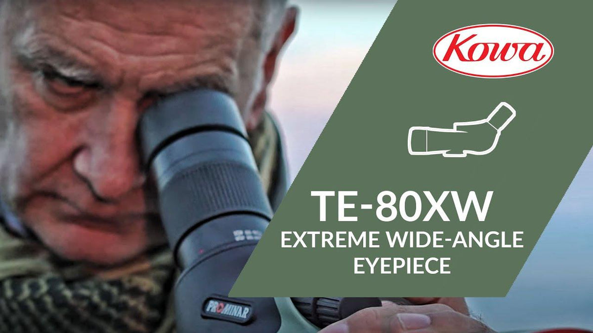 Kowa TE-80XW 35/40x Extreme Wide Okular